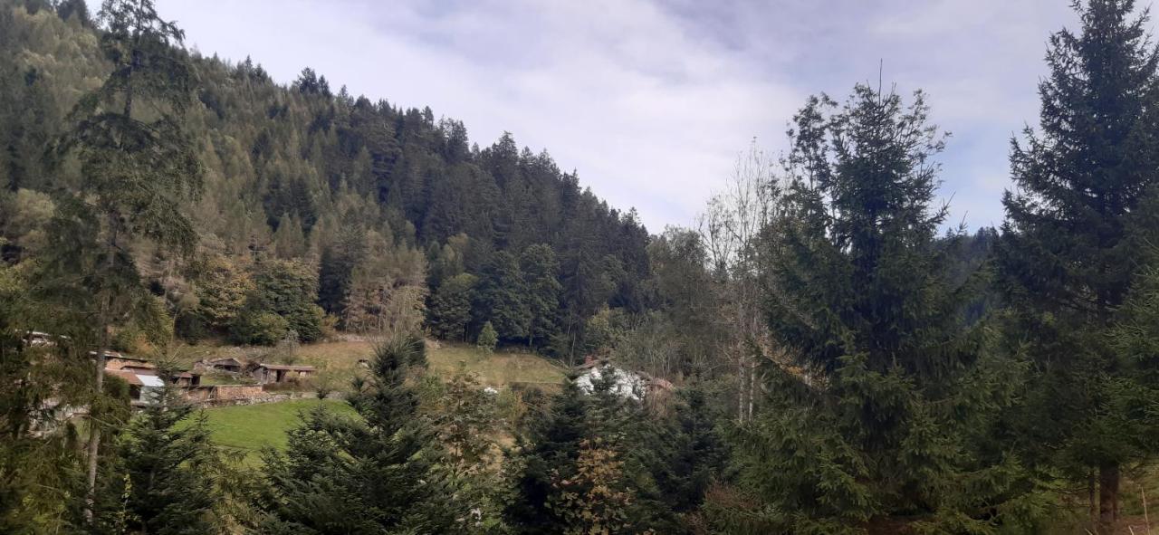 제라르메르 Le Montagnard 아파트 외부 사진